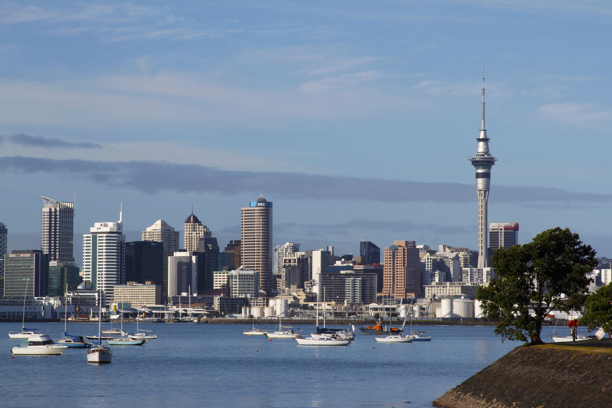 North Island window tinting near me - Auckland city skyline