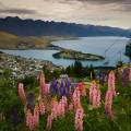 Guide to the best South Island winter road trips