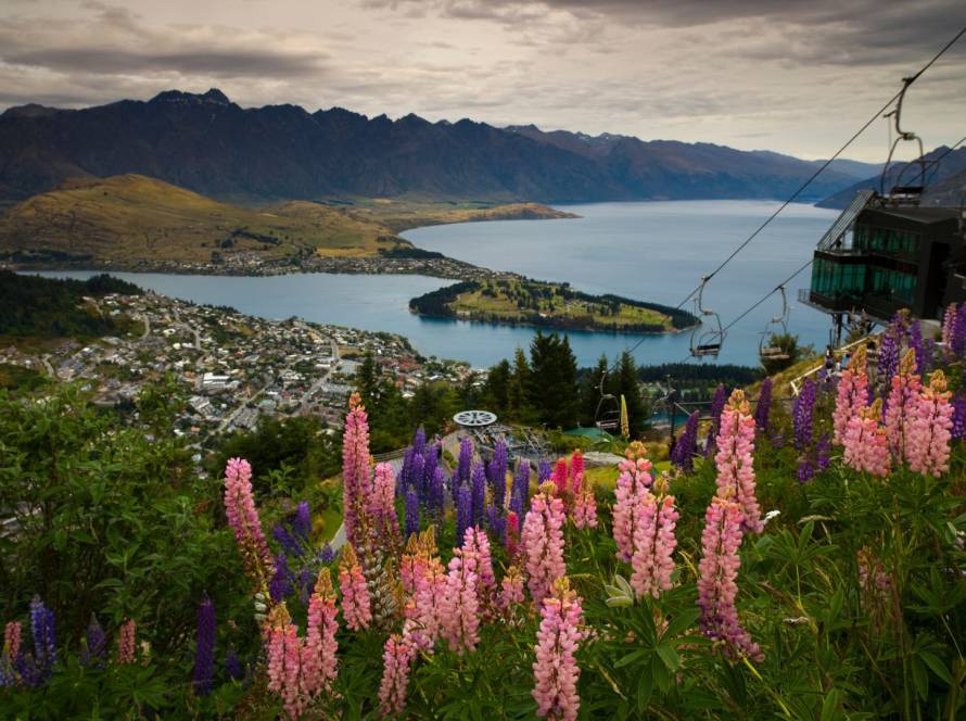 A scenic viewpoint overlooking one of the best winter road trips in New Zealand’s South Island.